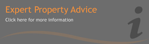 Expert property advice